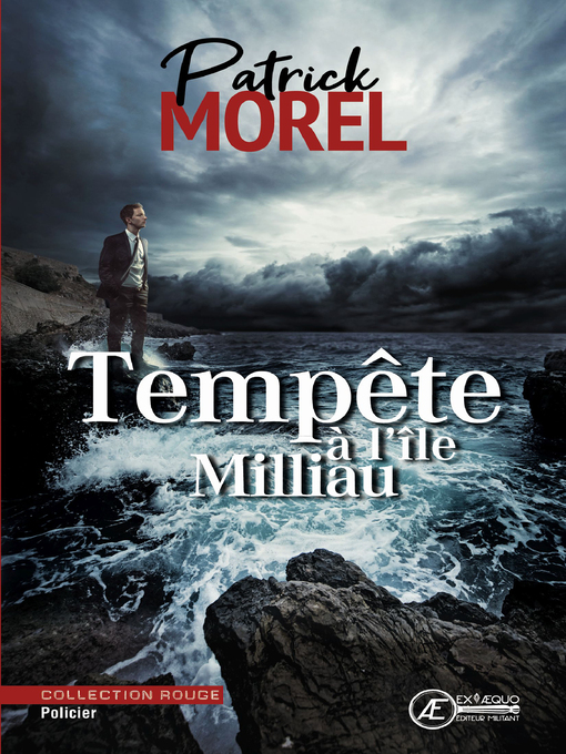 Cover image for Tempête à l'île Milliau
